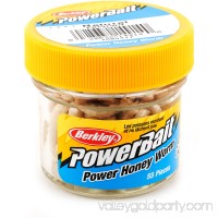 Berkley PowerBait Power Honey Worms   553145268